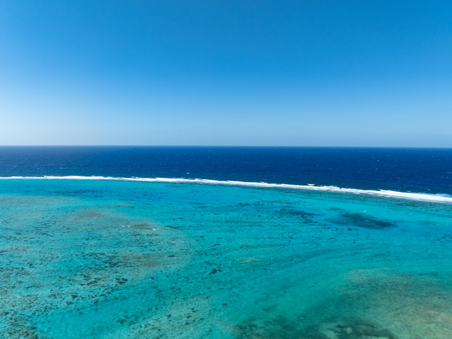 vecteezy_rum-point-reef-grand-cayman-cayman-islands_65442333.jpg